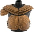 An incomplete set of Draconian torso armor auctioned on 2014 November 13, Auction #213 - Part II (Item 2531) by Hake's Auctions.[1]